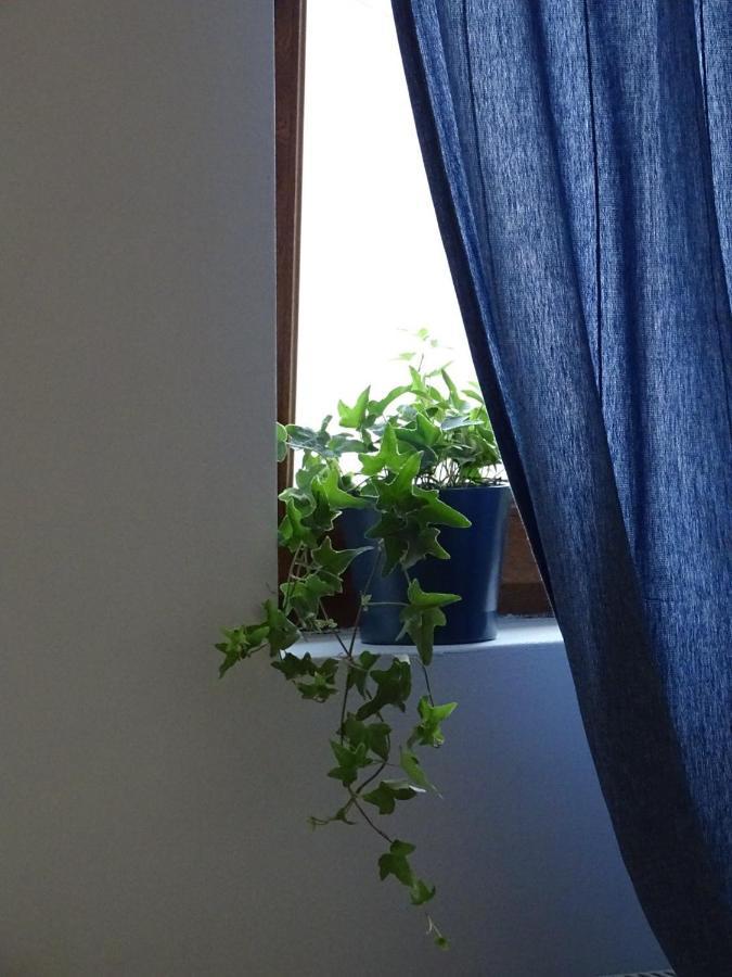 Blue Apartment Belgrade Luaran gambar